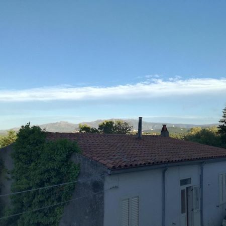 Monti di bò Aggius Exterior foto